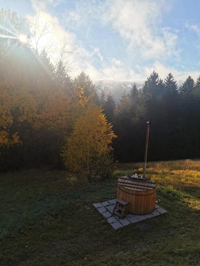 Das Koralpenchalet...Sonne, Wald, Natur! Trahutten Exterior foto
