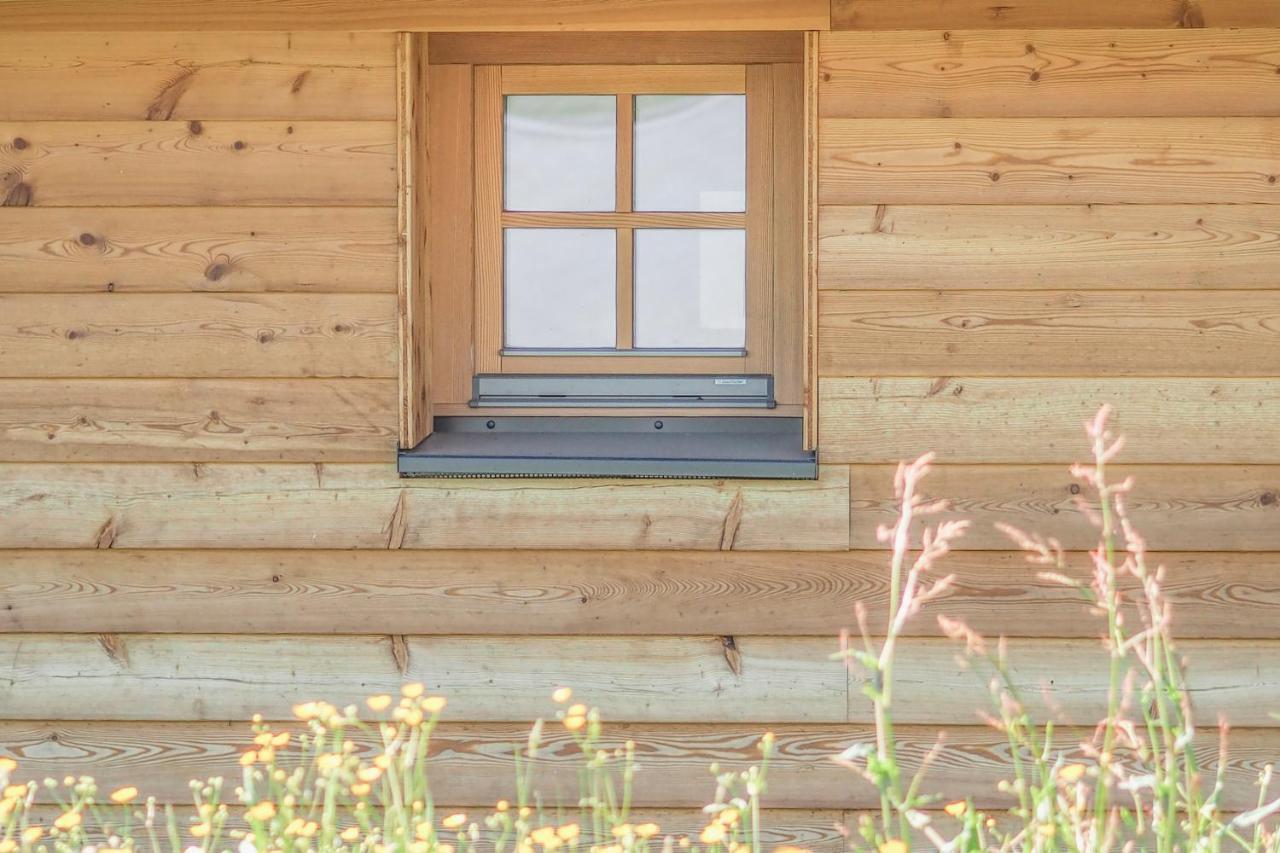 Das Koralpenchalet...Sonne, Wald, Natur! Trahutten Exterior foto