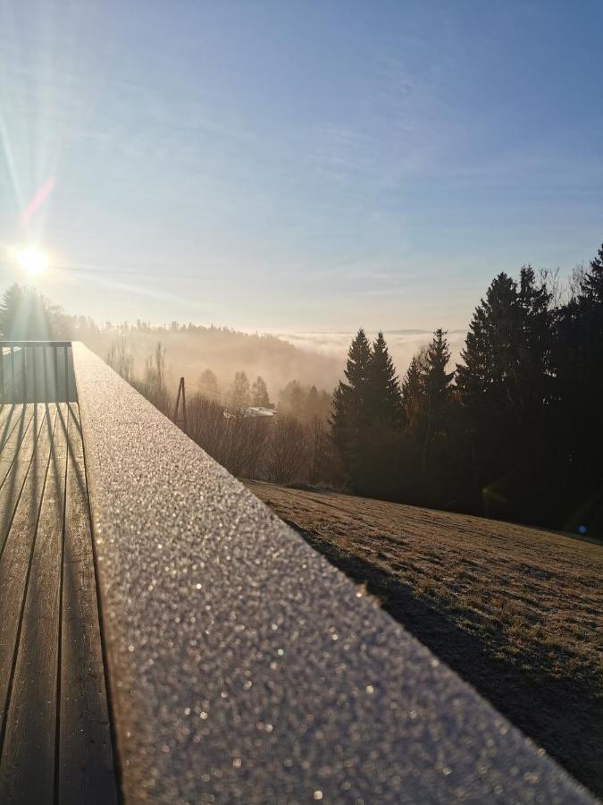 Das Koralpenchalet...Sonne, Wald, Natur! Trahutten Exterior foto